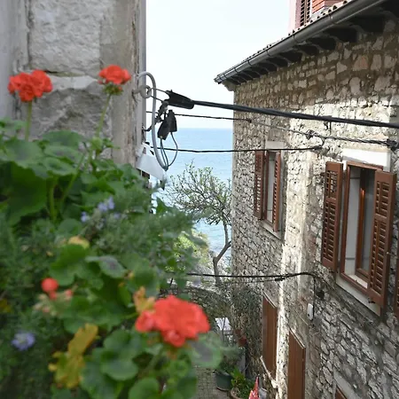 Smit Arnolongo Apartment *